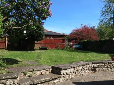 Picture 20